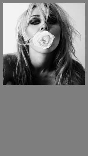 Miley - Bass Persuades