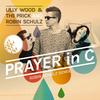 lilly wood & the prick and robin schulz - prayer in c (robin schulz radio edit)