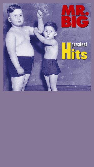 Mr. Big - Wild World