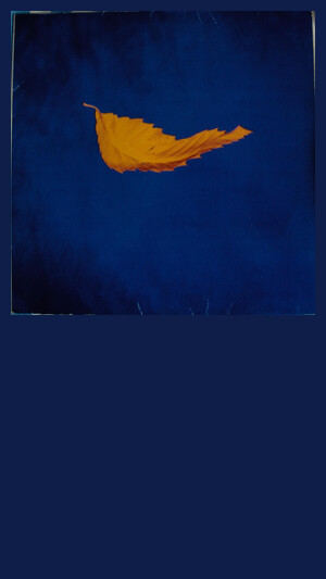 New Order - True Faith