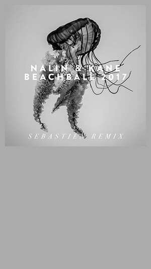 NALIN & KANE - BEACHBALL (EDIT)