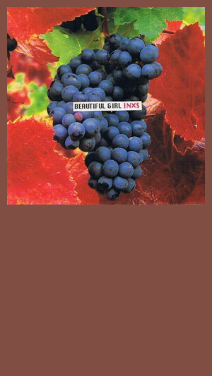 INXS - Beautiful Girl