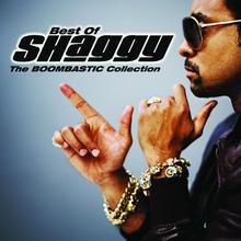 Shaggy - It Wasn't Me