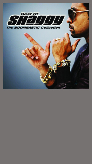 Shaggy - It Wasn't Me