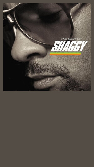 Shaggy - In The Summertime