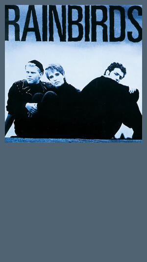 Rainbirds - Blueprint