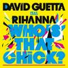 david guetta ft rihanna - who's that chick