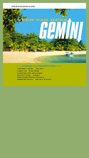 Sven Van Hees - Ocean Jive